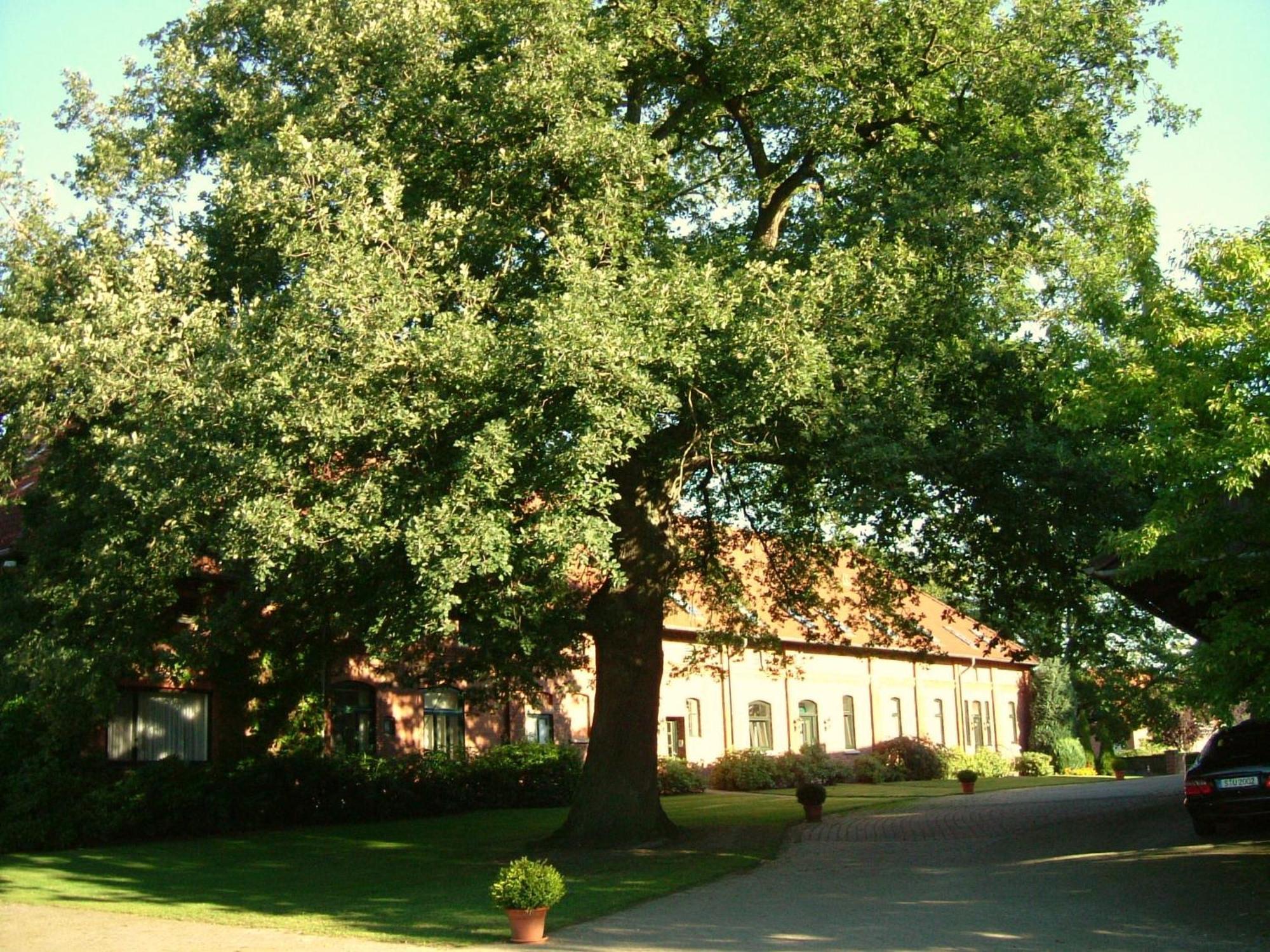 Gaestehaus Schlossgarten Etelsen Exterior foto